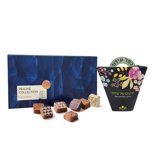 Luxury 18pc Pralines and a plant with a donation to the community