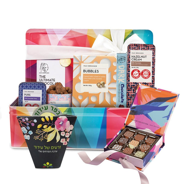 ULTIMATE CHOCOLATE BOX לט"ו בשבט