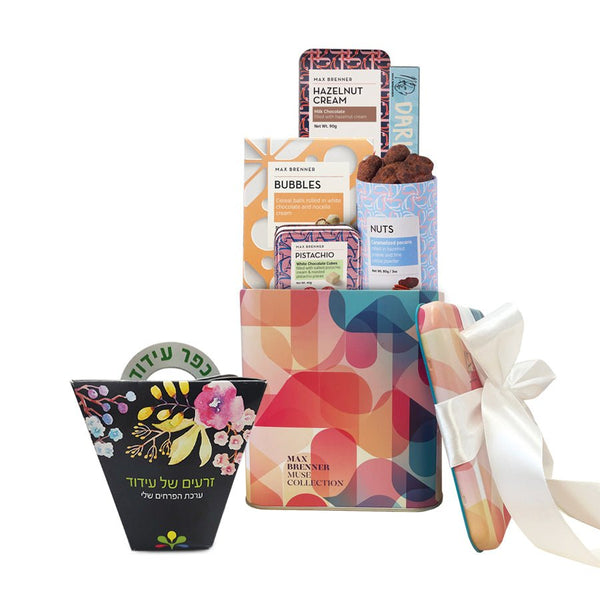 Muse Medium ושתיל עם תרומה לקהילה